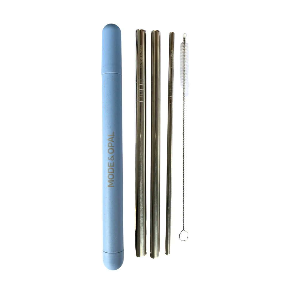 Stainless Steel Straw Set